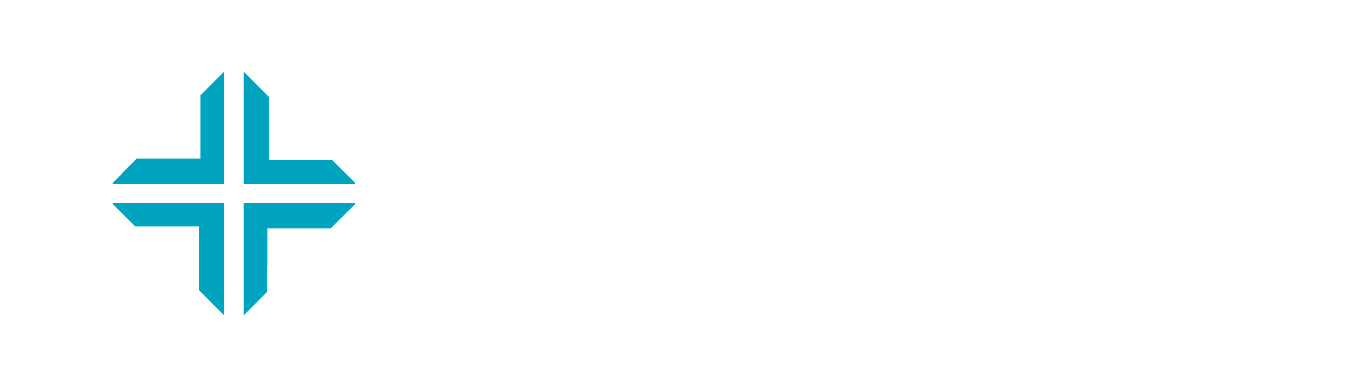 Triumph Logo